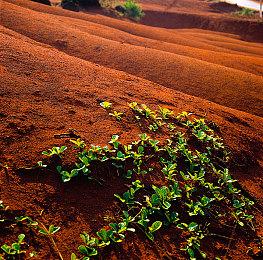 《明末：渊虚之羽》正式发售 Steam在线人数破十万